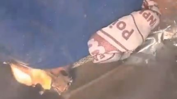  IPL 2024: Mumbai Indians jersey, caps and the flags torched by the fans.