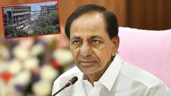 mahagani plant in the secretariat is dried