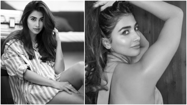 poojahegde without pant latest images
