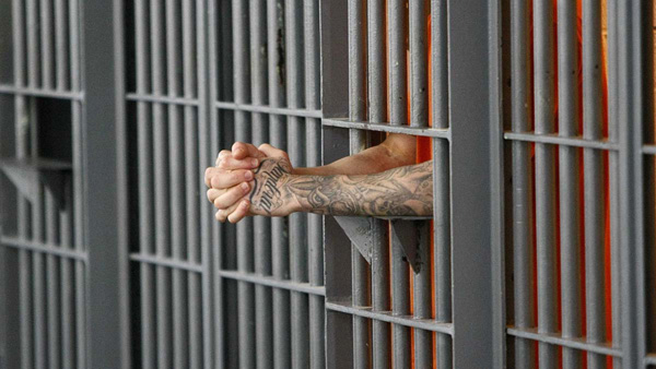 The businessman who harassed his wife was sentenced to nine years in prison
