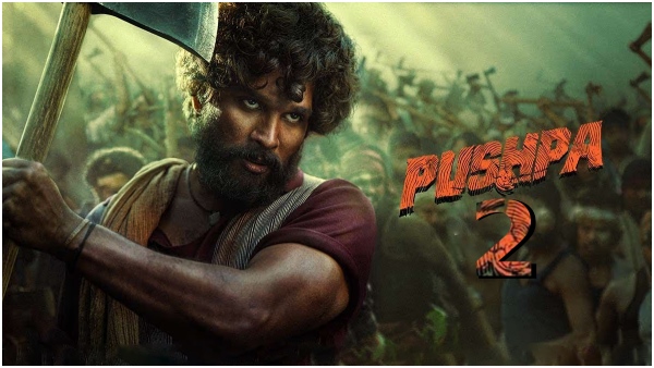 icon star allu arjun next movie director nelson dilipkumar