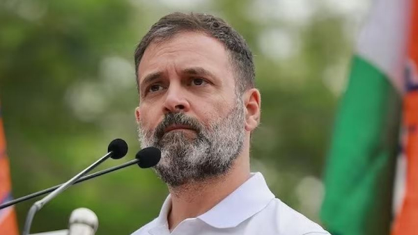 Rahul Gandhis pickpocket remark on PM: Delhi high Court directs poll panel to act