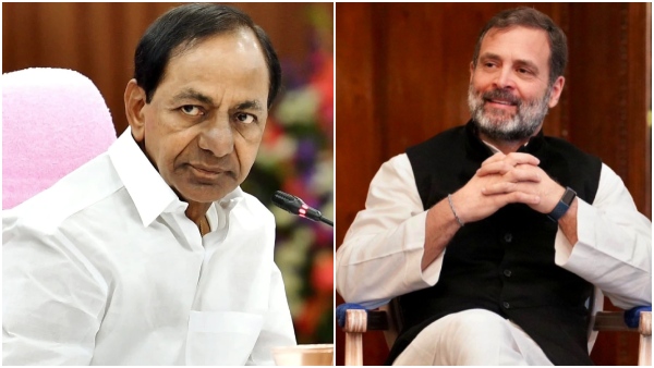 Congress leader Rahul Gandhi key directions for party leaders ahead counting, DKS to reach Hyderabad Congress leader Rahul Gandhi key directions for party leaders ahead counting, DKS to reach Hyderabad