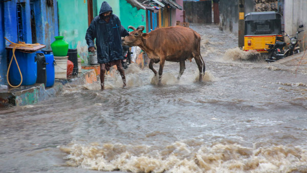 IMD issued orange alert to South Tamil Nadu and Kerala