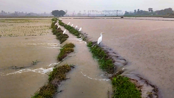 IMD issued orange alert to South Tamil Nadu and Kerala