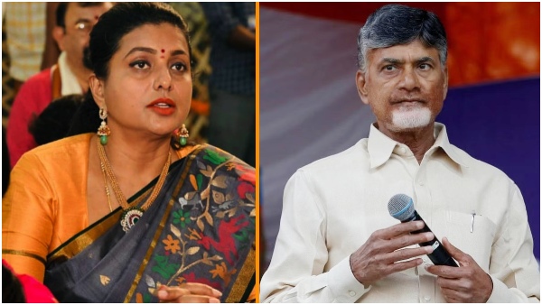 tdp chief chandrababu and minister roja travelled same indigo flight
