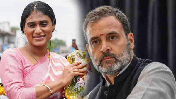 YS Sharmila chances to join in congress in presence of Rahl Gandhi in Delhi on 28th December YS Sharmila chances to join in congress in presence of Rahl Gandhi in Delhi on 28th December