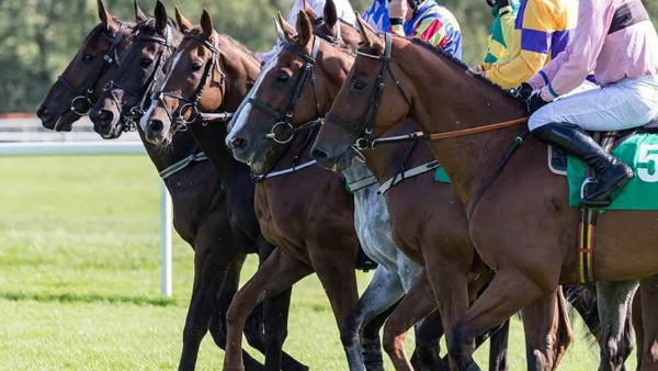The crime branch police arrested the rowdy sheeters who were running a betting gang in the Bengaluru Turp Club