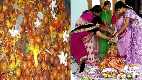 bhogi pandlu to street dogs: Sankranti celebrations for animal lovers!!