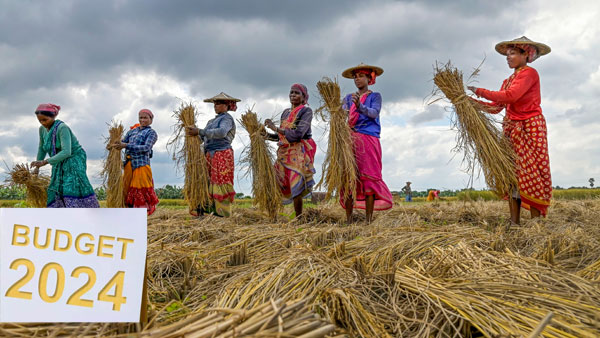 Farmers are likely to get good news in the budget to be introduced by the Centre Farmers are likely to get good news in the budget to be introduced by the Centre