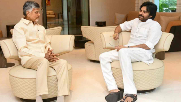 chandrababu and pawan kalyan to meet tomorrow, plans to meet cec over fake votes 