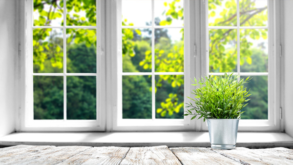 Budget 2024:From Intimacy to Urine and glass, Unorthodox Taxation Practices in Different Nations