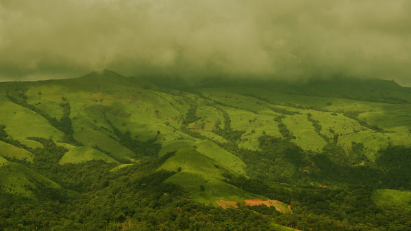 A Bengaluru IT company employee who went to Kodugu to see the beauty of Coorg committed suicide A Bengaluru IT company employee who went to Kodugu to see the beauty of Coorg committed suicide