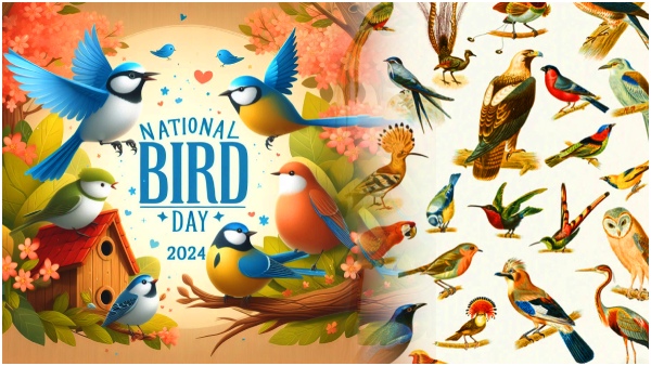 National Bird Day 2022: Today National Birds Day celebrate.. National Bird Day 2022: Today National Birds Day celebrate..