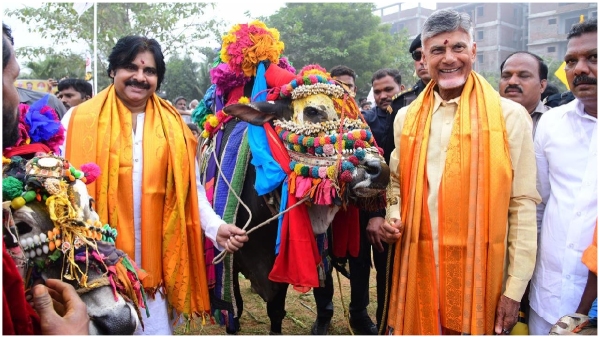 Andhra assembly elections 2024: huge set back for TDP as opinion polls given majority to YSRCP