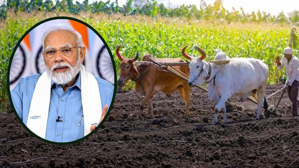 the Central government is likely to increase the installment amount to Rs 8000 per farmer