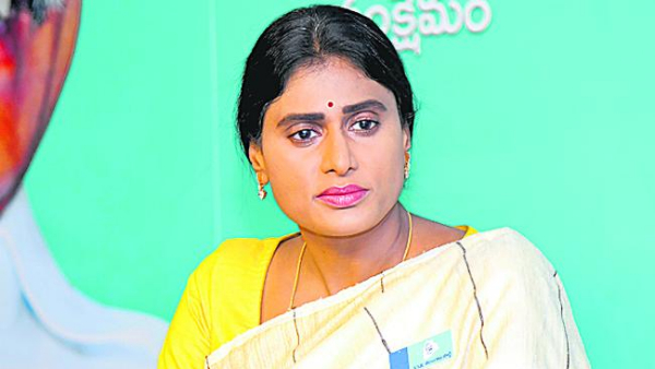 ys sharmila big sketch to capture ysr legacy as cousin ys suneetha reddy likely to join congress 