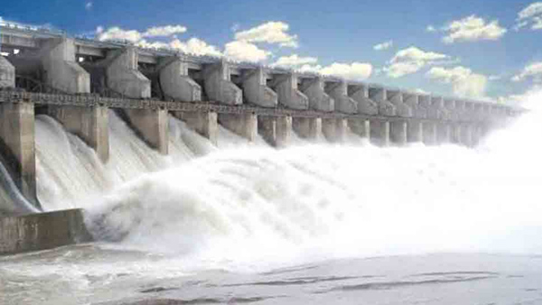 Crops in Karimnagar, Warangal and Suryapet districts are getting water from Sriramsagar water Crops in Karimnagar, Warangal and Suryapet districts are getting water from Sriramsagar water