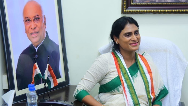 apcc chief YS Sharmila considering these two seats for contest in upcoming polls