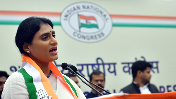 Congress Fix Task for YS Sharmila as APCC Chief, to contest for Kadapa Loksabha in next Elections