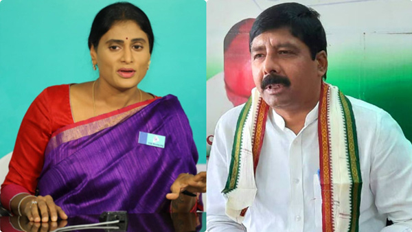 apcc chief gidugu rudraraju says ysrcp mla, mlcs in touch with ys sharmila joining info apcc chief gidugu rudraraju says ysrcp mla, mlcs in touch with ys sharmila joining info