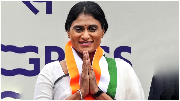 Andhra Assembly elections 2024: APCC fix donation for Lok Sabha and Assembly 