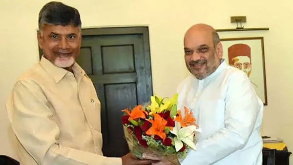 chandrababu naidu meets amit shah in delhi to discuss on alliance chandrababu naidu meets amit shah in delhi to discuss on alliance