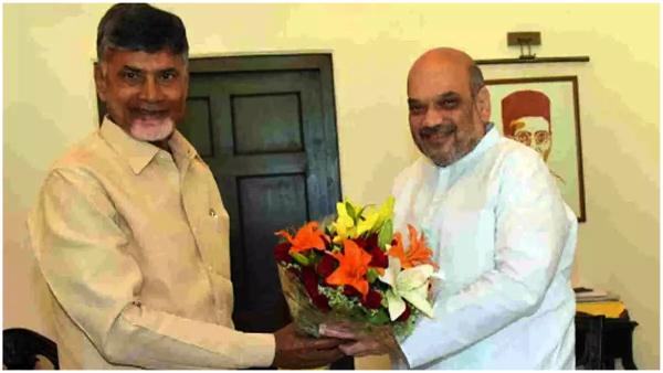 Union Home Minister Amith Shah made key comments over Alliance with TDP for next Elections