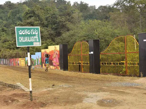 oneindia exclusive: Medaram jatara: Samakka secret on Chilakalagutta!!