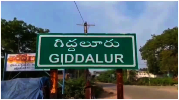 Andhra Assembly elections 2024: Is YSRCP continues its winning in Giddalur 