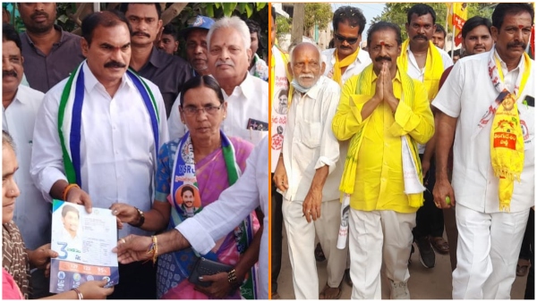 TDP and YSRCP Neck to neck fight in Mandapaet Consitunecy, Janasena Becomes Cruical