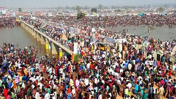 Medaram Jatara 2024: Why Sampenga vagu turned red? Why did sampenga vagu become jampanna vagu?