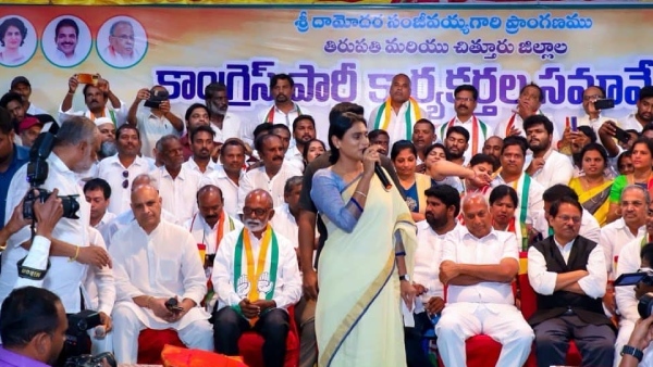 Andhra PCC has appointed spokespersons