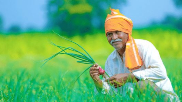 The Congress government has announced that the farmers loan will be waived all at once The Congress government has announced that the farmers loan will be waived all at once