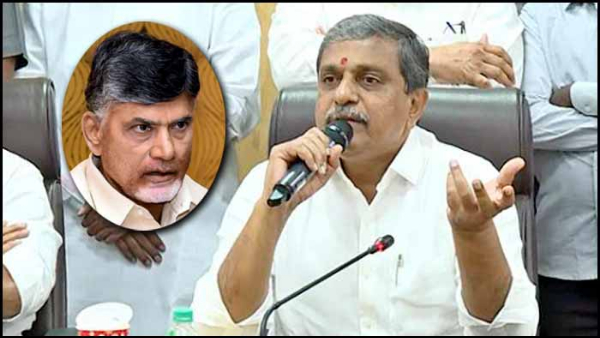 sajjala ramakrishna reddy strong counter to chandrababus challenge, says jagan take it light
