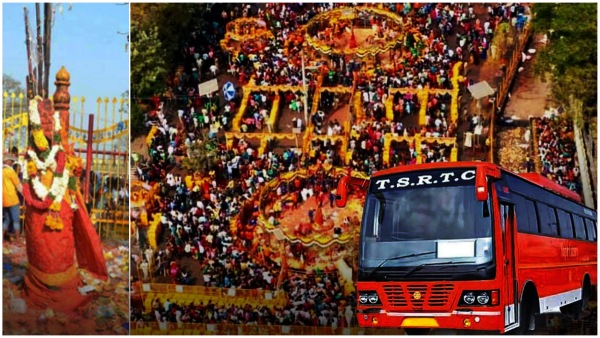 Medaram Jatara: Special buses for Medaram Jatara...