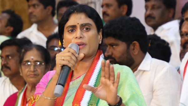 ys sharmilas challenge to ysrcp social media over unfulfilled promises