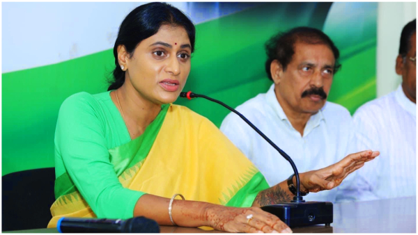 YS Sharmila made key remarks on All Ramakrishna Reddy, who returns to YSRCP from Congress YS Sharmila made key remarks on All Ramakrishna Reddy, who returns to YSRCP from Congress