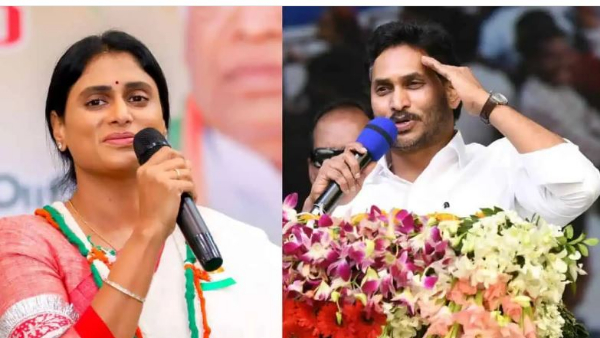 YS Sharmila sensational comments on ys jagan in narsipatnam rachhabanda
