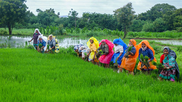 Meteorological Department has said that rains are likely to occur in Telangana for the next three days Meteorological Department has said that rains are likely to occur in Telangana for the next three days