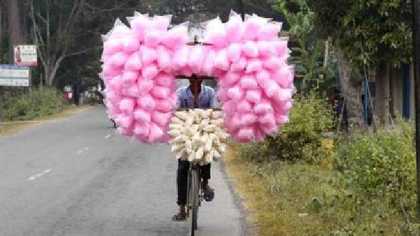 Karnataka bans Rhodamine-B food colouring agent in cotton candy and Gobi Manchurian
