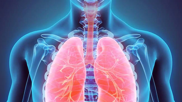 health tips Foods that clean the lungs Must eat