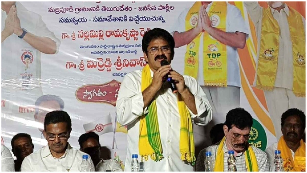 TDP leader Nallimilli Ramakrishna Announces key decision over his anaparthy seat allotted for BJP