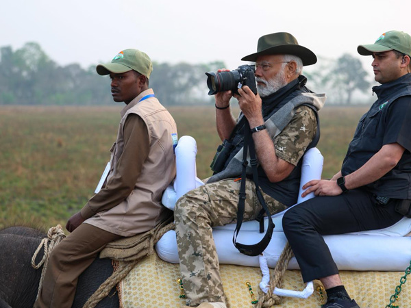 pm modi visits kaziranga national park and took elephant safari