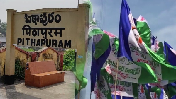 YCP councillors are ready to resign in Pithapuram