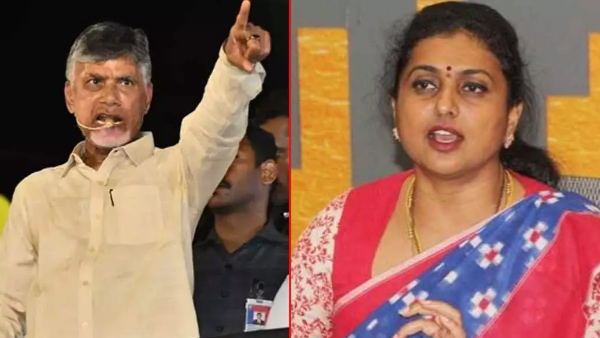 chandrababu political comments on minister roja