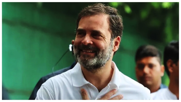 rahul gandhi to contest again in wayanad as congress finalised vip seats in first list