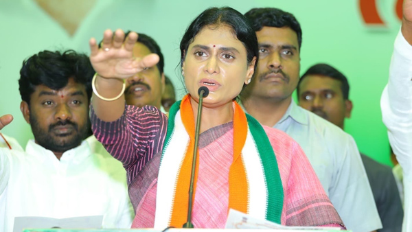 Congress llikely to field PCC Chief YS Sharmila for Kadapa loksbaha againt Avinash Reddy