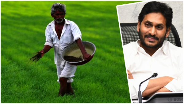 At the time of AP elections Jagan govt another good news for the farmers on MSP At the time of AP elections Jagan govt another good news for the farmers on MSP