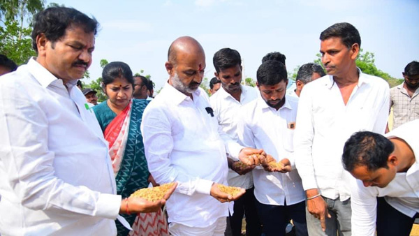 Bandi Sanjay demanded to buy stained grain